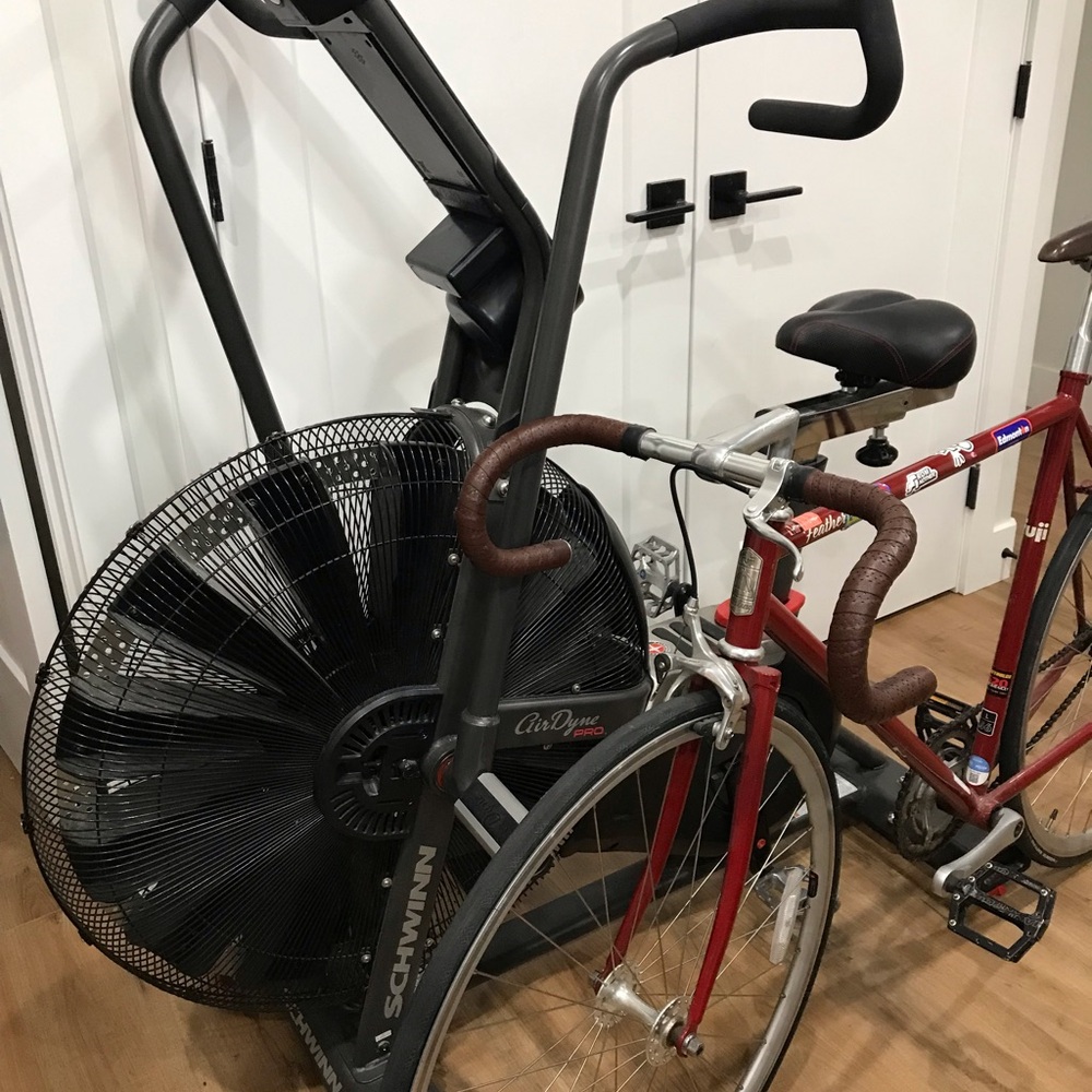 Schwinn AirDyne Stationary Fan Bike - Gray with Black Fan